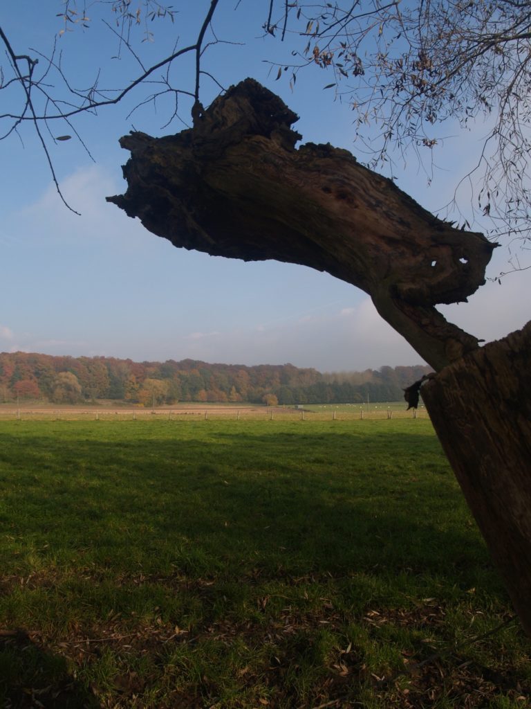 Réserve naturelle des Prés Rosières sur les communes de Deux-Acren, Moerbeke et overboelaere